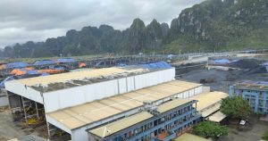 VDG Group