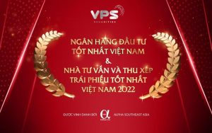 VDG Group