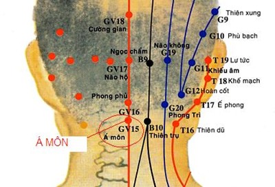 Huyệt Á Môn - Y CỔ TRUYỀN