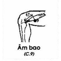 Huyệt Âm Bao - Y CỔ TRUYỀN