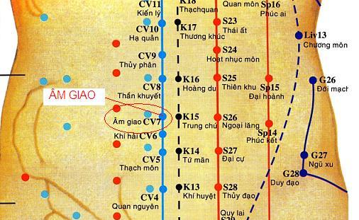 Huyệt Âm Giao - Y CỔ TRUYỀN