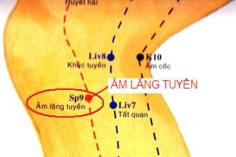 Huyệt Âm Lăng Tuyền - Y CỔ TRUYỀN