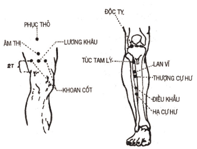 Huyệt Âm Thị - Y CỔ TRUYỀN