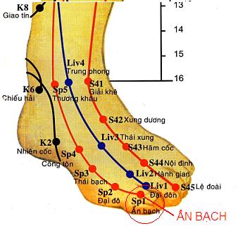 Huyệt Ẩn Bạch - Y CỔ TRUYỀN