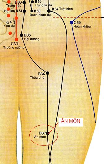 Huyệt Ân Môn - Y CỔ TRUYỀN