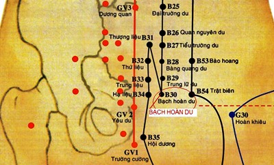 Huyệt Bạch Hoàn Du - Y CỔ TRUYỀN