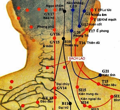 Huyệt Bách Lao - Y CỔ TRUYỀN