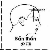 Huyệt Bản Thần - Y CỔ TRUYỀN