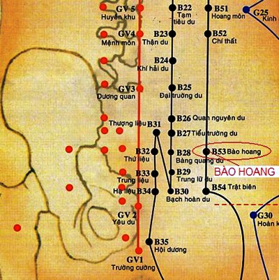 Huyệt Bào Hoang - Y CỔ TRUYỀN