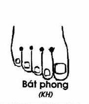 Huyệt Bát Phong - Y CỔ TRUYỀN
