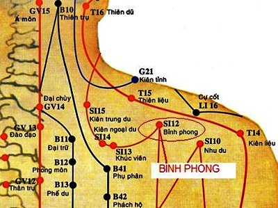Huyệt Bỉnh Phong - Y CỔ TRUYỀN