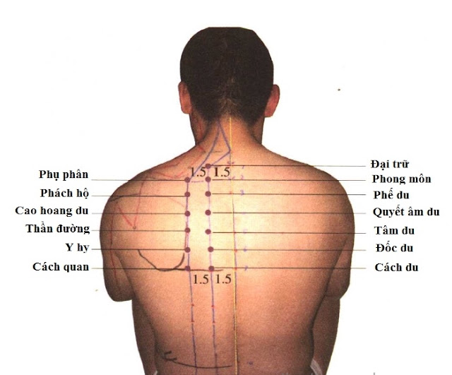 Huyệt Cách Quan - Y CỔ TRUYỀN