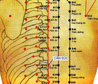 Huyệt Cân Súc - Y CỔ TRUYỀN