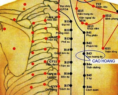 huyệt cao hoang Huyệt Cao Hoang - Y CỔ TRUYỀN