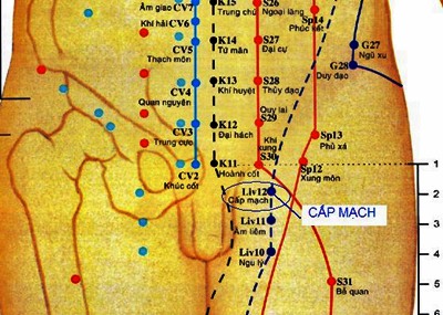 Huyệt Cấp Mạch - Y CỔ TRUYỀN