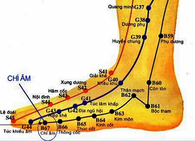 Huyệt Chí Âm - Y CỔ TRUYỀN