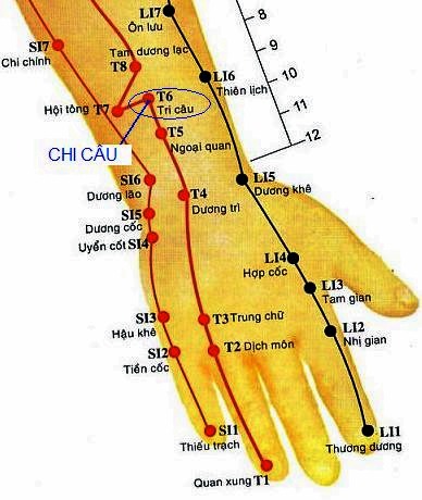 Huyệt Chi Câu - Y CỔ TRUYỀN