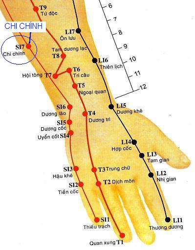 Huyệt Chi Chính - Y CỔ TRUYỀN