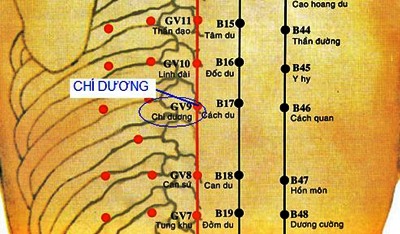 Huyệt Chí Dương - Y CỔ TRUYỀN
