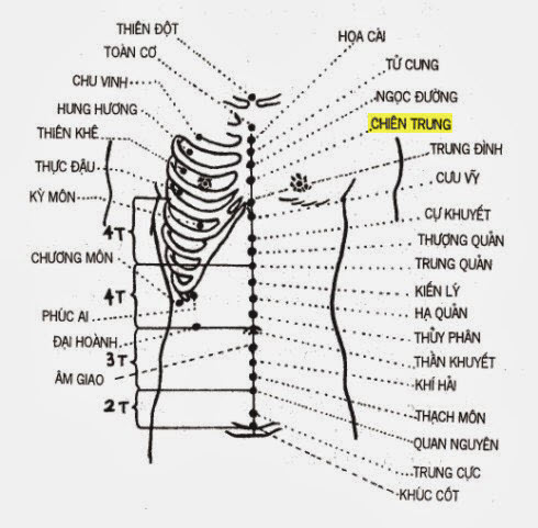 Huyệt Chiên Trung - Y CỔ TRUYỀN