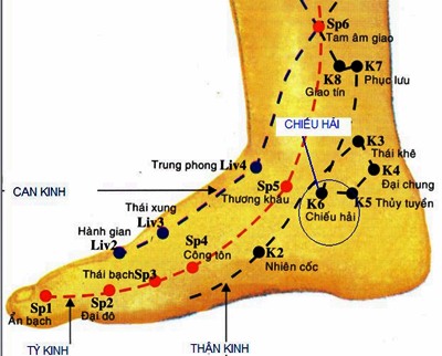 Huyệt Chiếu Hải - Y CỔ TRUYỀN