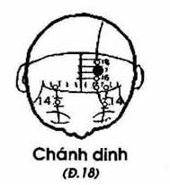Huyệt Chính Dinh - Y CỔ TRUYỀN