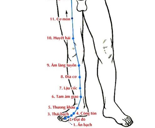 Huyệt Cơ Môn - Y CỔ TRUYỀN