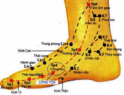 Huyệt Công Tôn - Y CỔ TRUYỀN