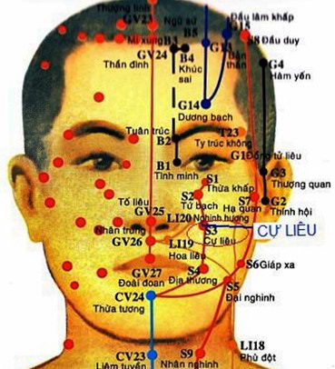 Huyệt Cự Liêu - Y CỔ TRUYỀN