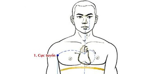 Huyệt Cực Tuyền - Y CỔ TRUYỀN