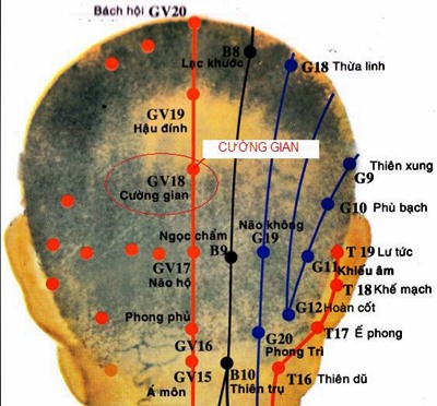 Huyệt Cường Gian - Y CỔ TRUYỀN