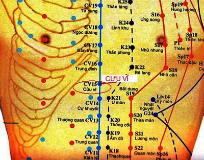 Huyệt Cưu Vĩ - Y CỔ TRUYỀN
