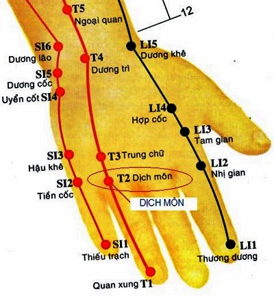 Huyệt Dịch Môn - Y CỔ TRUYỀN