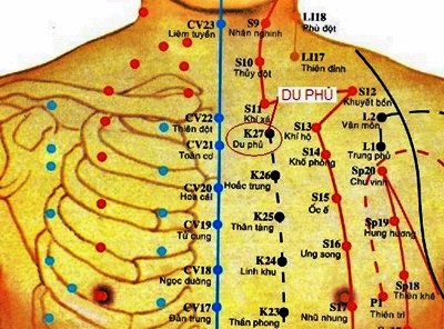 Huyệt Du Phủ - Y CỔ TRUYỀN