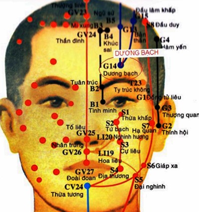 Huyệt Dương Bạch - Y CỔ TRUYỀN