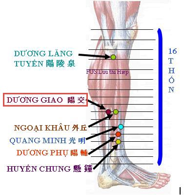 Huyệt Dương Giao - Y CỔ TRUYỀN