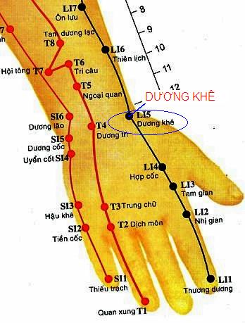 Huyệt Dương Khê - Y CỔ TRUYỀN
