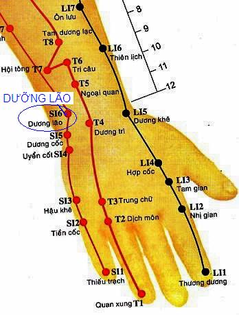 Huyệt Dưỡng Lão - Y CỔ TRUYỀN