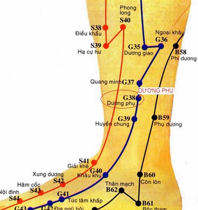 Huyệt Dương Phụ - Y CỔ TRUYỀN