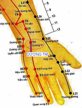 Huyệt Dương Trì - Y CỔ TRUYỀN