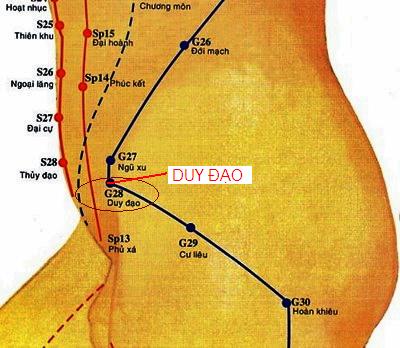 Huyệt Duy Đạo - Y CỔ TRUYỀN