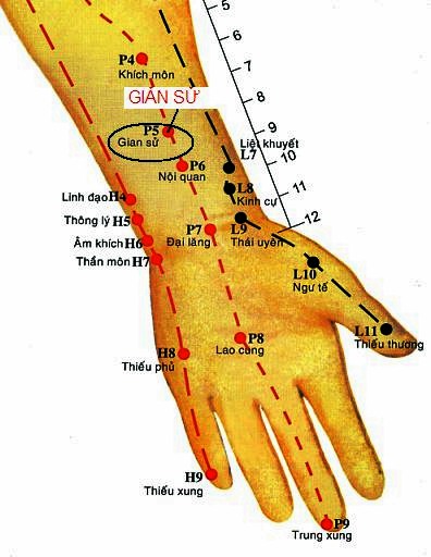 Huyệt Gian Sử - Y CỔ TRUYỀN
