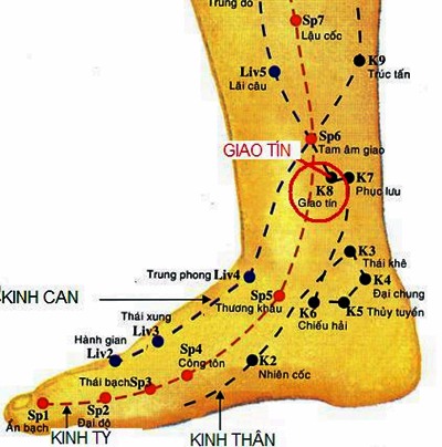 Huyệt Giao Tín - Y CỔ TRUYỀN