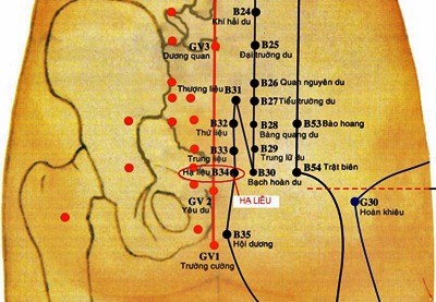 Huyệt Hạ Liêu - Y CỔ TRUYỀN