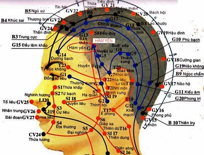 Huyệt Hàm Yến - Y CỔ TRUYỀN