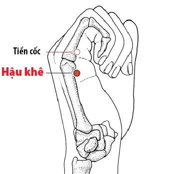 Huyệt Hậu Khê - Y CỔ TRUYỀN