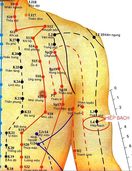 Huyệt Hiệp Bạch - Y CỔ TRUYỀN
