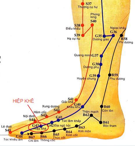 Huyệt Hiệp Khê - Y CỔ TRUYỀN