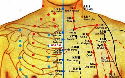 Huyệt Hoa Cái - Y CỔ TRUYỀN