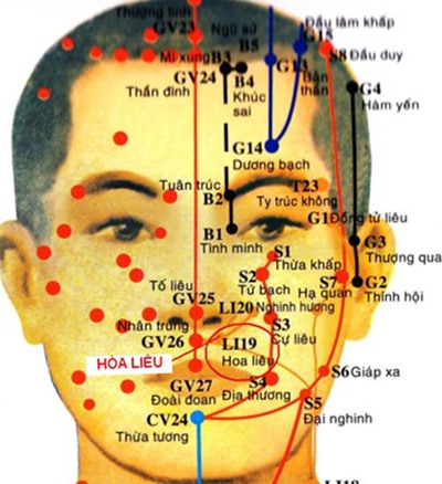 Huyệt Hòa Liêu - Y CỔ TRUYỀN